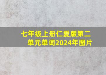 七年级上册仁爱版第二单元单词2024年图片