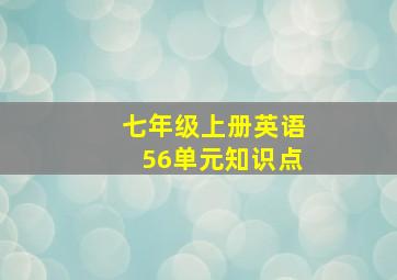 七年级上册英语56单元知识点