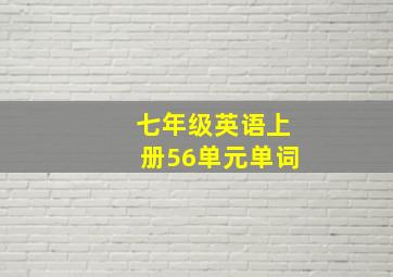 七年级英语上册56单元单词