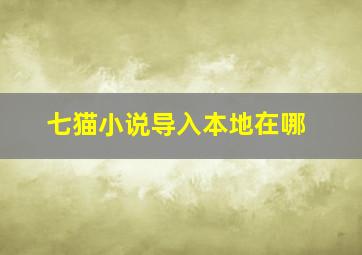 七猫小说导入本地在哪