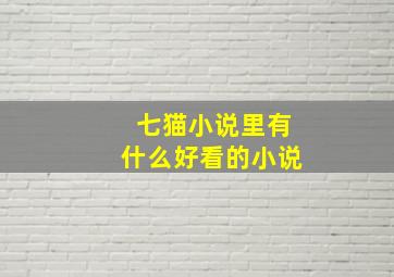 七猫小说里有什么好看的小说