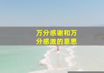 万分感谢和万分感激的意思