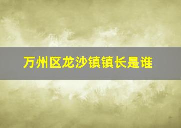 万州区龙沙镇镇长是谁