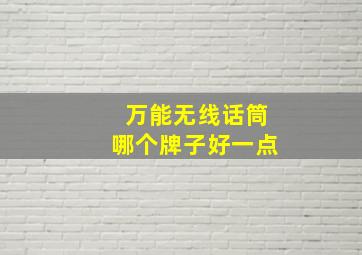 万能无线话筒哪个牌子好一点