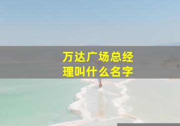 万达广场总经理叫什么名字