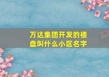 万达集团开发的楼盘叫什么小区名字