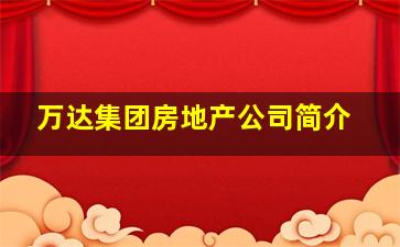 万达集团房地产公司简介