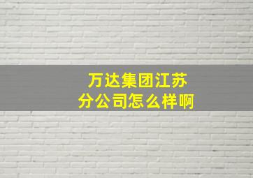 万达集团江苏分公司怎么样啊