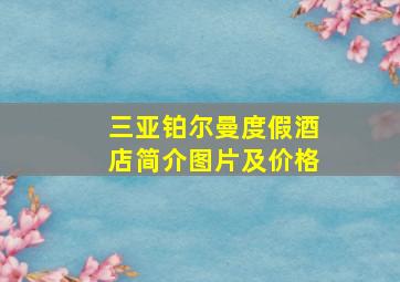 三亚铂尔曼度假酒店简介图片及价格