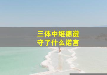 三体中维德遵守了什么诺言