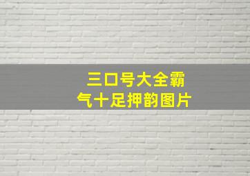 三口号大全霸气十足押韵图片