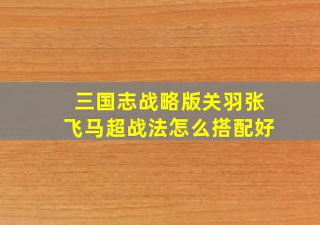 三国志战略版关羽张飞马超战法怎么搭配好