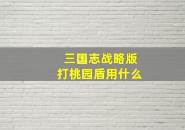 三国志战略版打桃园盾用什么