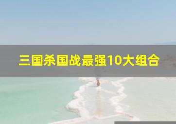 三国杀国战最强10大组合