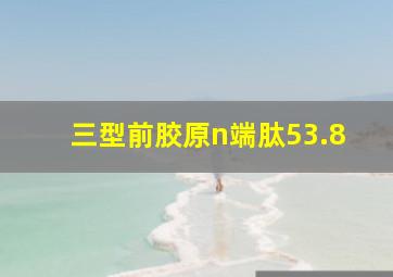 三型前胶原n端肽53.8