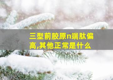 三型前胶原n端肽偏高,其他正常是什么