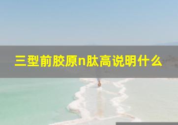 三型前胶原n肽高说明什么