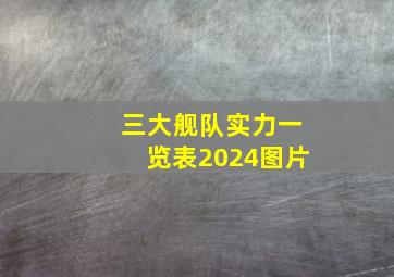 三大舰队实力一览表2024图片