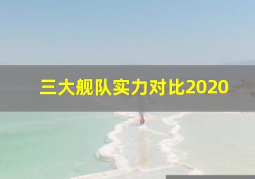 三大舰队实力对比2020