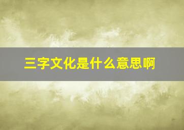 三字文化是什么意思啊