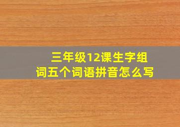 三年级12课生字组词五个词语拼音怎么写