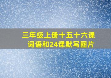 三年级上册十五十六课词语和24课默写图片