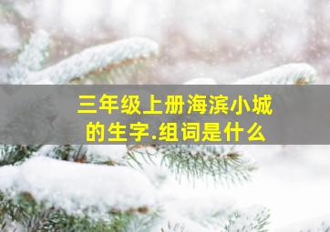 三年级上册海滨小城的生字.组词是什么