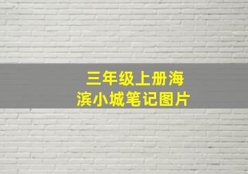 三年级上册海滨小城笔记图片