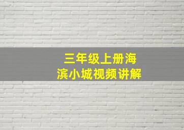 三年级上册海滨小城视频讲解