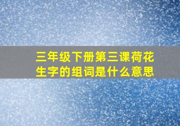 三年级下册第三课荷花生字的组词是什么意思