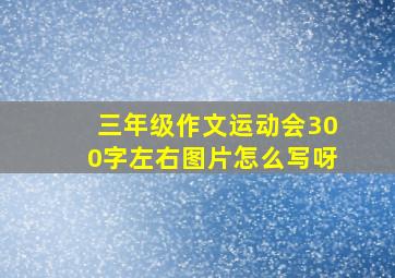 三年级作文运动会300字左右图片怎么写呀