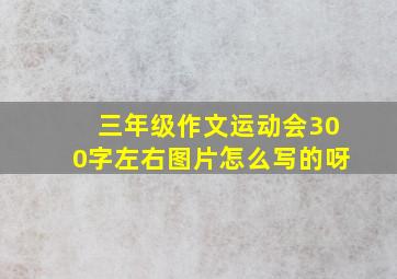 三年级作文运动会300字左右图片怎么写的呀