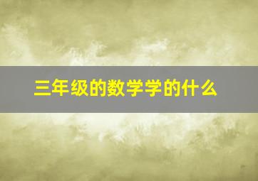 三年级的数学学的什么