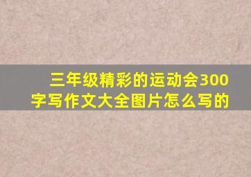 三年级精彩的运动会300字写作文大全图片怎么写的