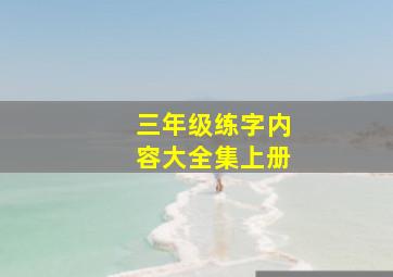 三年级练字内容大全集上册