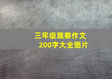 三年级观察作文200字大全图片