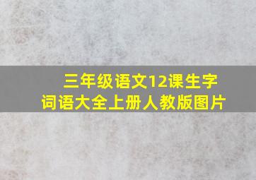 三年级语文12课生字词语大全上册人教版图片