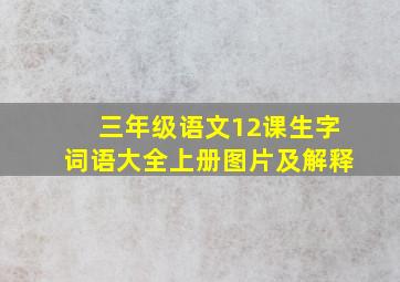 三年级语文12课生字词语大全上册图片及解释