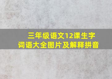 三年级语文12课生字词语大全图片及解释拼音