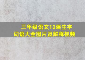 三年级语文12课生字词语大全图片及解释视频