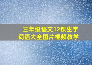 三年级语文12课生字词语大全图片视频教学