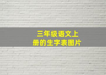 三年级语文上册的生字表图片