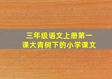 三年级语文上册第一课大青树下的小学课文