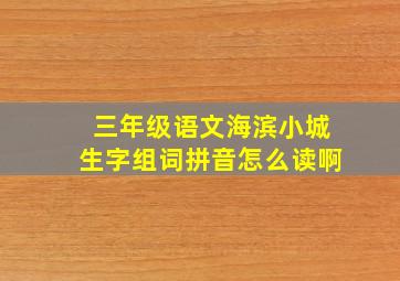 三年级语文海滨小城生字组词拼音怎么读啊