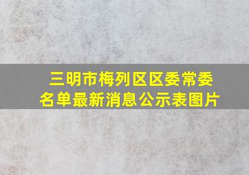 三明市梅列区区委常委名单最新消息公示表图片