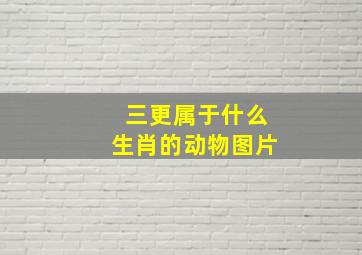 三更属于什么生肖的动物图片