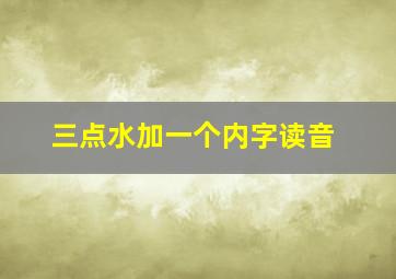 三点水加一个内字读音