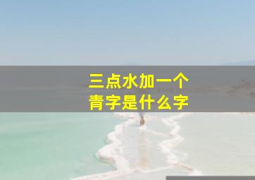 三点水加一个青字是什么字