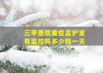 三甲医院重症监护室有监控吗多少钱一天