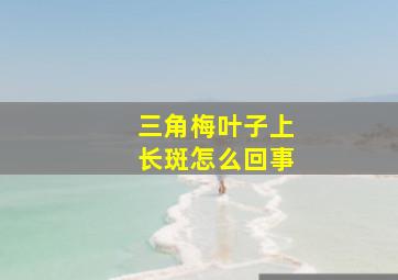 三角梅叶子上长斑怎么回事